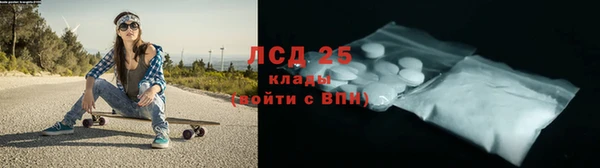 ПСИЛОЦИБИНОВЫЕ ГРИБЫ Белокуриха