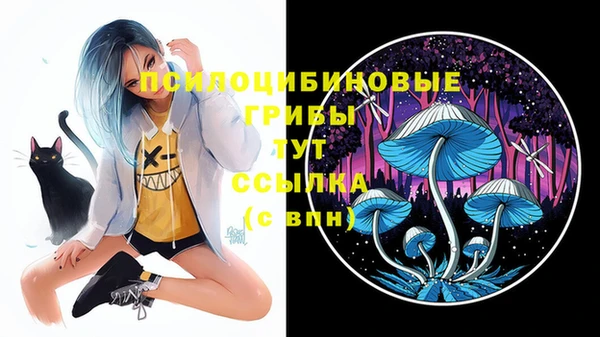 ПСИЛОЦИБИНОВЫЕ ГРИБЫ Белокуриха