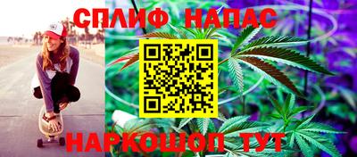 гидра Аргун