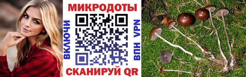 Псилоцибиновые грибы Psilocybe МЕГА как войти Беслан