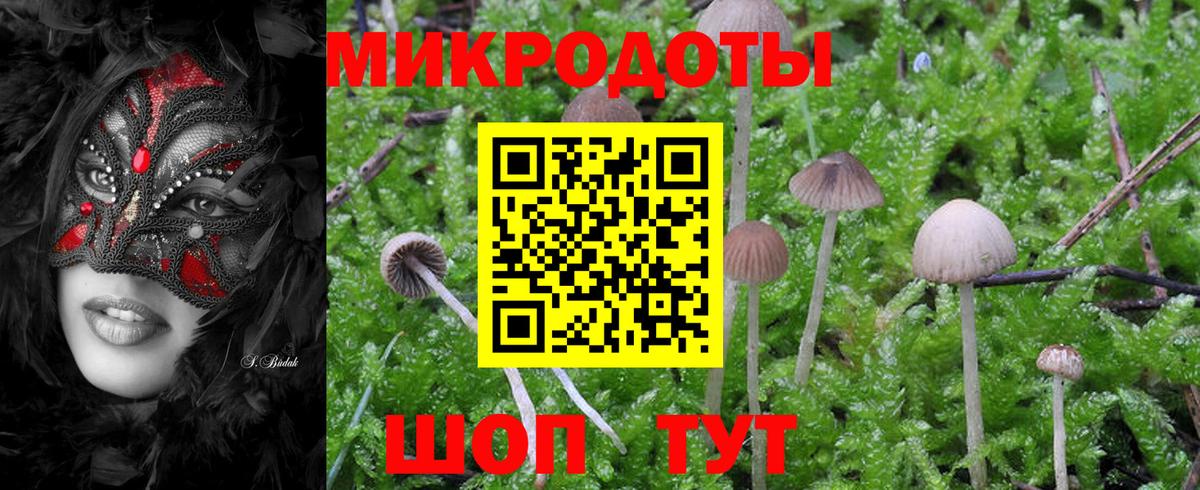 Галлюциногенные грибы ЛСД Беслан