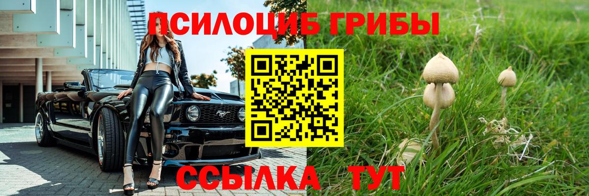 Галлюциногенные грибы ЛСД  Галлюциногенные грибы прущие грибы  где купить наркоту  Беслан 