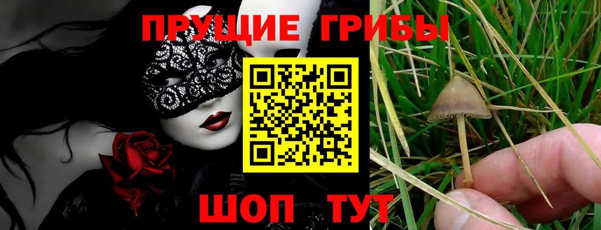 Галлюциногенные грибы Magic Shrooms Беслан