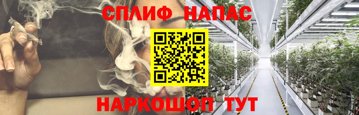 Каннабис семена  Бошки Шишки планчик  Бошки Шишки VHQ  Конопля Ganja  Беслан 